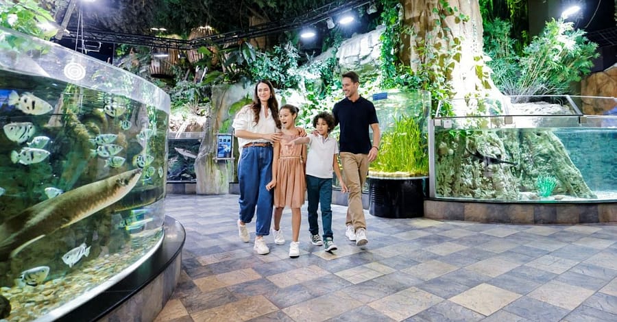 Marine Magic Awaits: Dubai Aquarium & Penguin Cove For 1