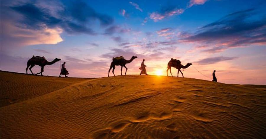Premium Desert Safari With Vip Transfer