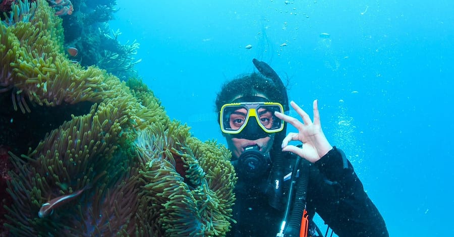 Open Water Scuba Diver Course At Goblin Diving Center Dubai