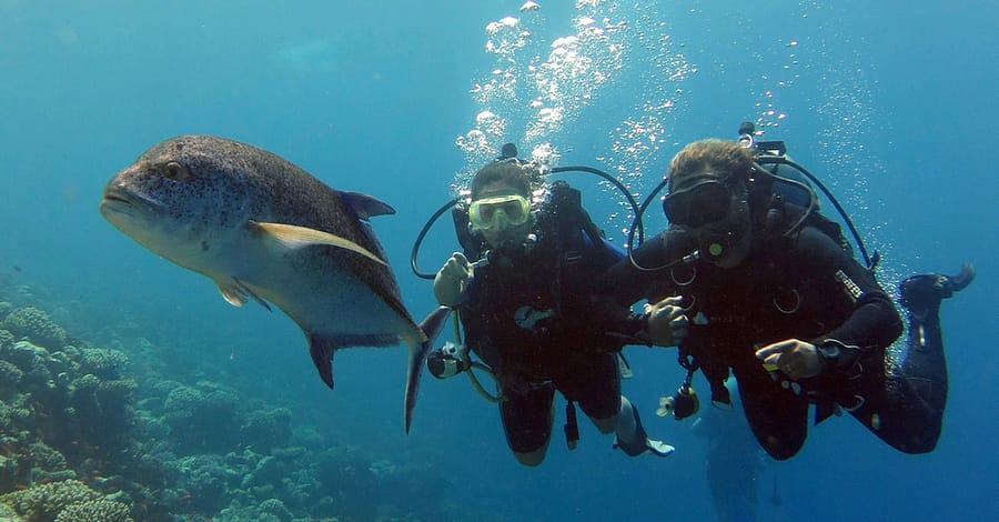 Scuba Diving Experience Dubai