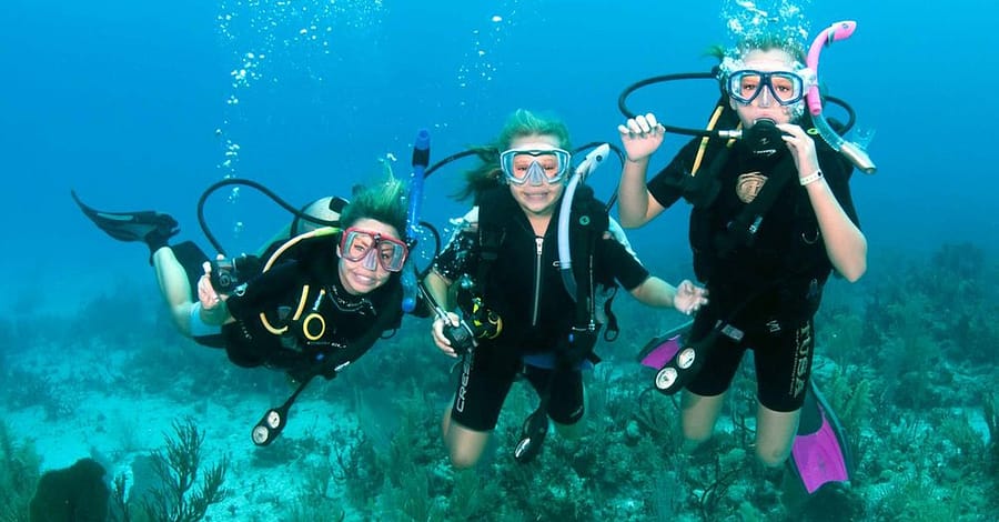 Vip Scuba Diving Tour Dubai