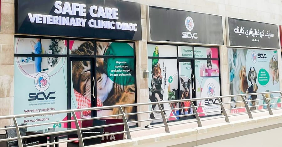 Cat And Dog Check Up And Vaccinations Dubai