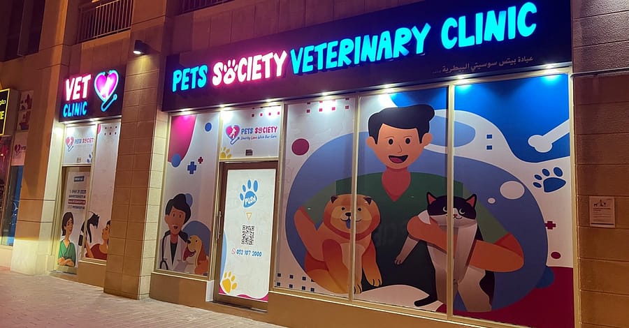 Discover Annual Vaccination
