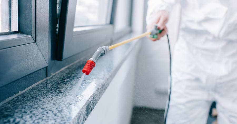 Pest Control Service - Rodent Dubai