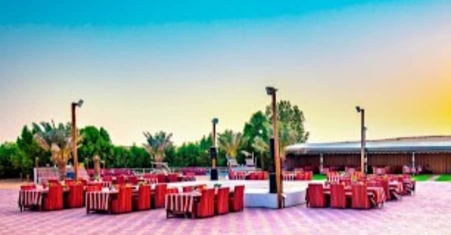 Vip Desert Safari With Pick-Up Sharjah & N. Emirates