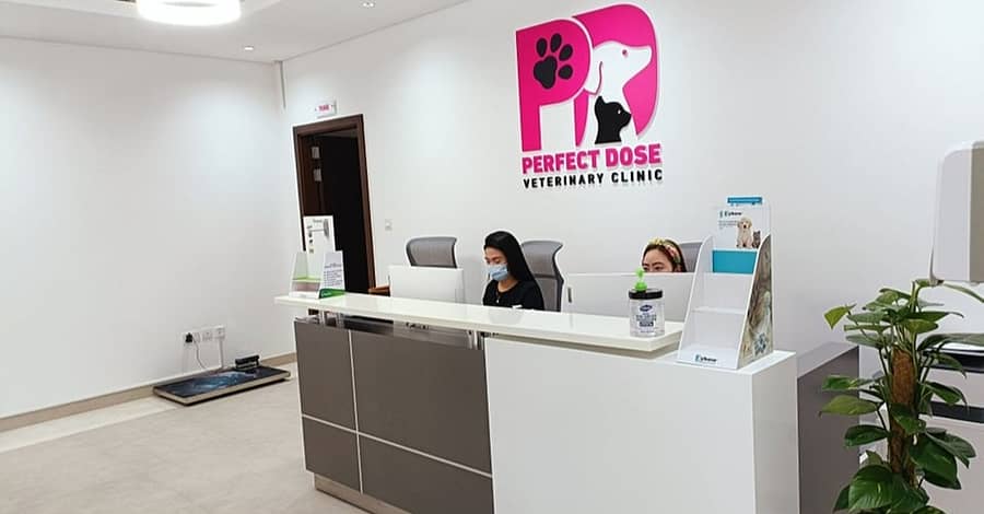 Cat Or Dog Annual Vaccination At Perfect Dose Veterinary Clinic Dubai