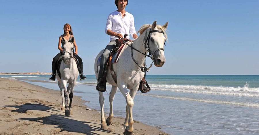 One Hour Beach Horse Riding Experiences At Al Sultan Equestrian Club Abu Dhabi