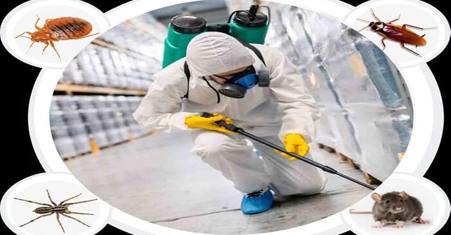 Pest Control Service - General Dubai