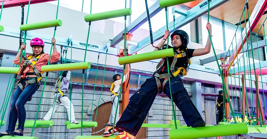 Exciting Canopy Trail For One