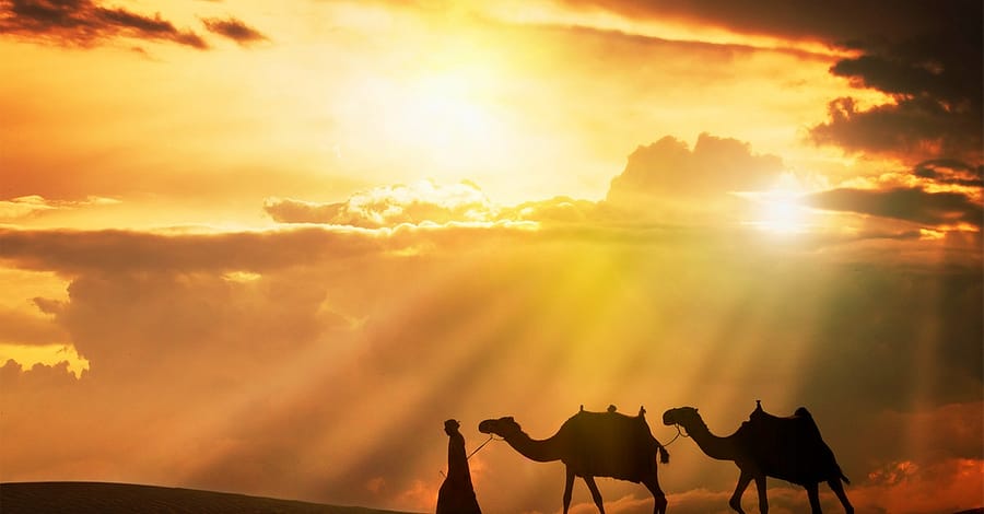 30-Day Uae Tourist Visa Dubai
