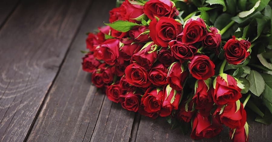 50 To 200 Roses And Card Dubai