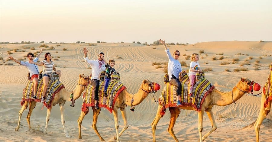 & More Sharjah & N. Emirates