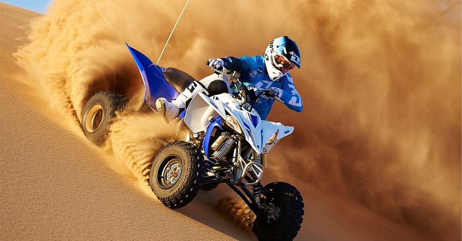 Camel Riding & Live Shows! Dubai