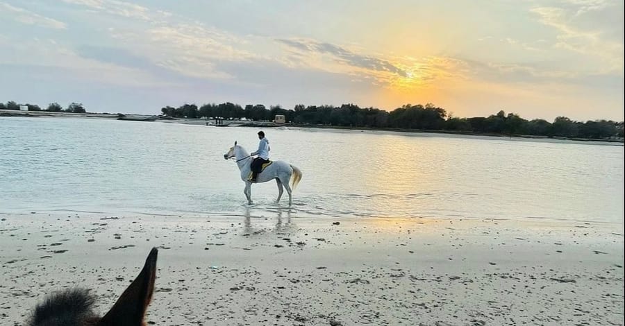 Horseback Riding By The Beach Dubai