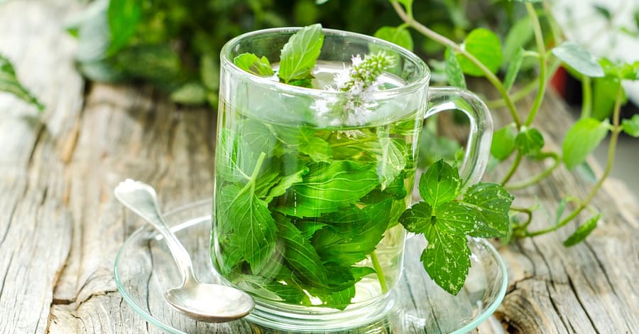 Unlock The Secrets Of Herbs With Master Herbalist Course National Deal