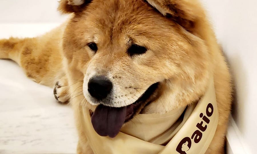 Grin