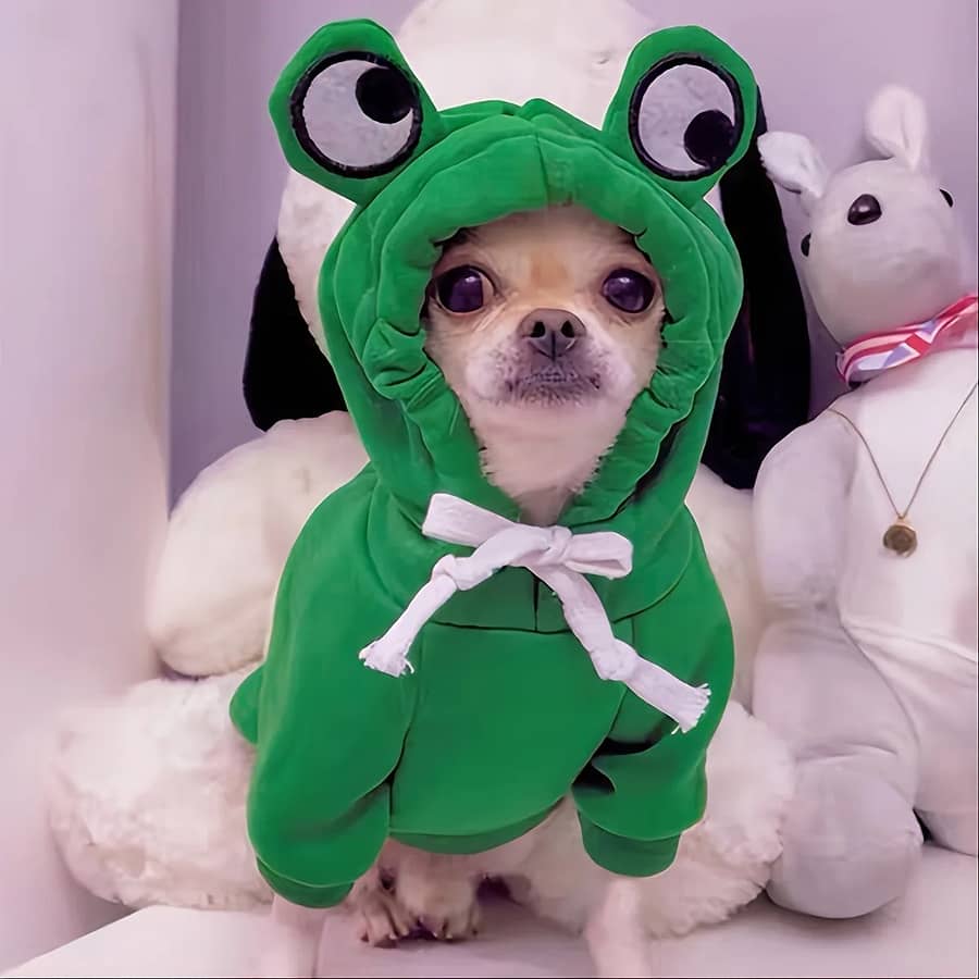 Autumn Winter Dog Hoodies for Small Dogs Cat Cute Frog Print French Bulldog Puppy Soft Warm Fleece Costume Chihuahua Sweatshirts Pet Supplies