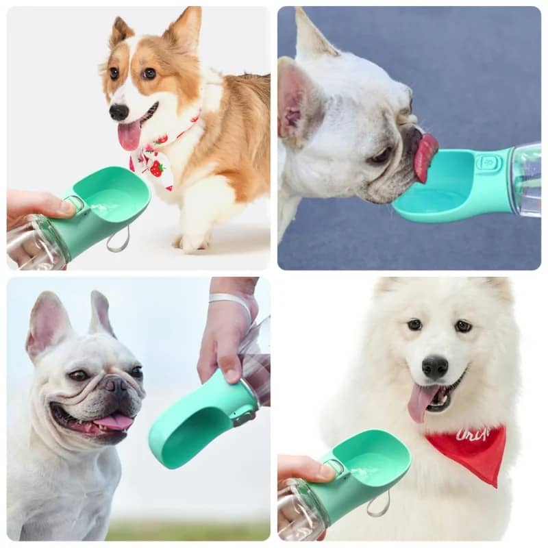 BUY Pet Travel Water Bottle Portable Dog Water Bottle For Small Large Dogs Bowl Outdoor Walking Puppy Cat Drinking Bowl Dog Supplie - Pet Supplies at DYAF.com