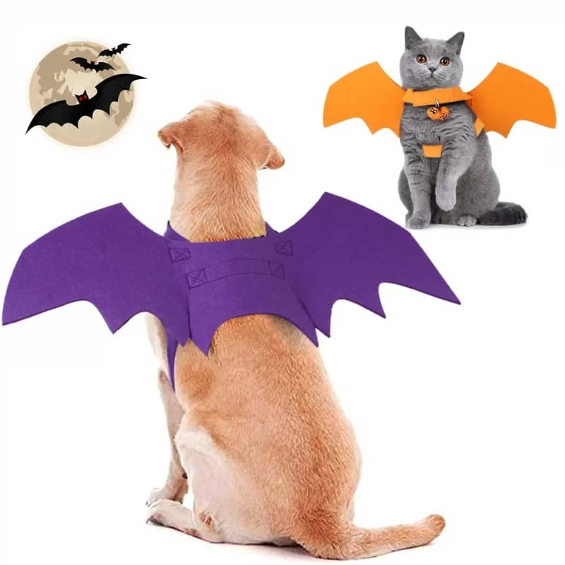 BUY Fashion Cat Clothes Bat Wings Funny Dog Costume Artificial Wing Pet Cosplay Prop Halloween Clothes Cat Costume Pet Products - Pet Supplies at DYAF.com