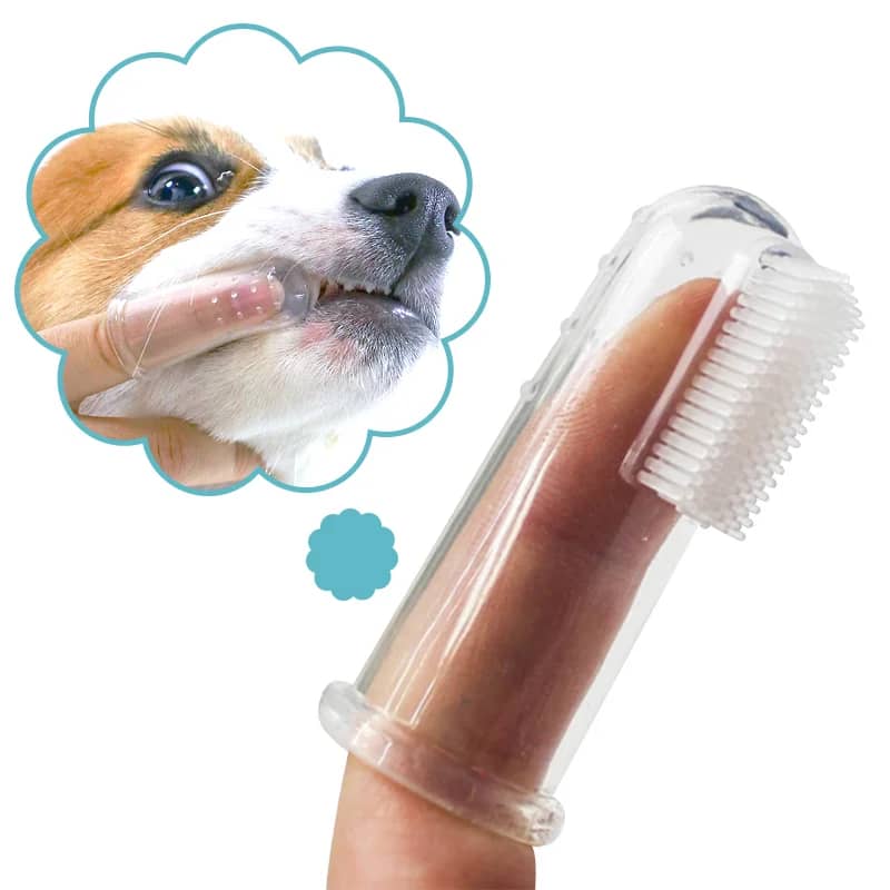 BUY Super Soft Pet Finger Toothbrush Teddy Dog Brush Bad Breath Tartar Teeth Care Tool Dog Cat Cleaning Silicagel Pet Supplies - Pet Supplies at DYAF.com