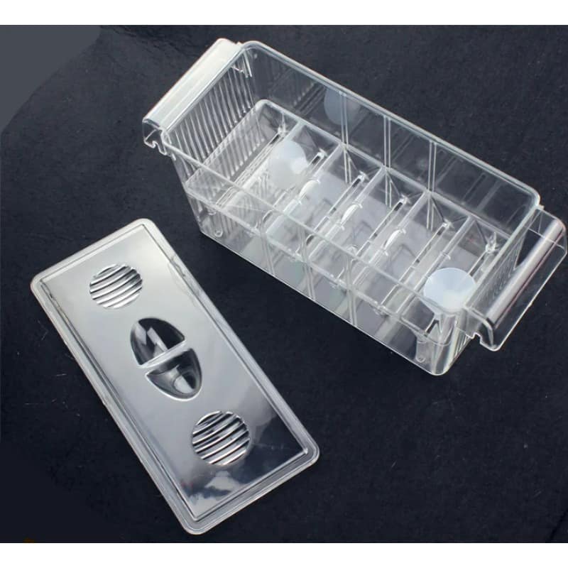 BUY NEW Big Size 4 Rooms and Mini Size Fish Tank Aquarium Incubator Fish Breeding Hatching Box Acrylic Breeding Isolation Box - Pet Supplies at DYAF.com