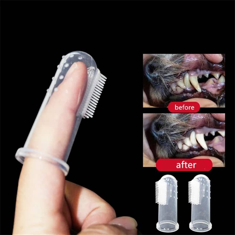 BUY Super Soft Pet Finger Toothbrush Teddy Dog Brush Bad Breath Tartar Teeth Tool Dog Cat Cleaning Pet Supplies - Pet Supplies at DYAF.com