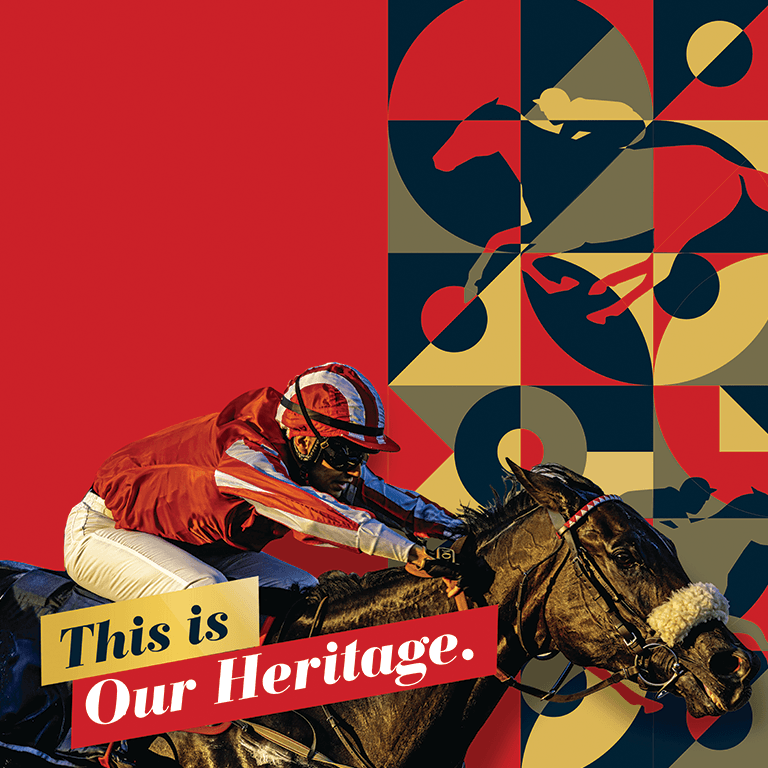 Horseracing at Rashid Equestrian & Horseracing Club Sports Events