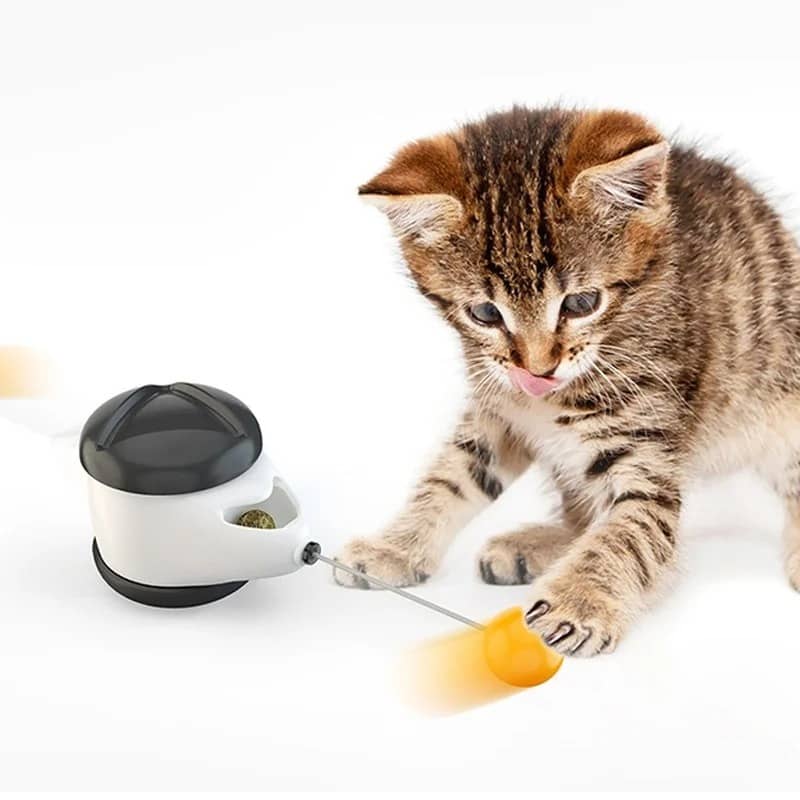 BUY NEW Pet Cat Unblocking Self-healing Balance Swing Car Funny Toys for Cat Kitten Interactive Smart Toys for Cat Gatos Cat Toys - Pet Supplies at DYAF.com
